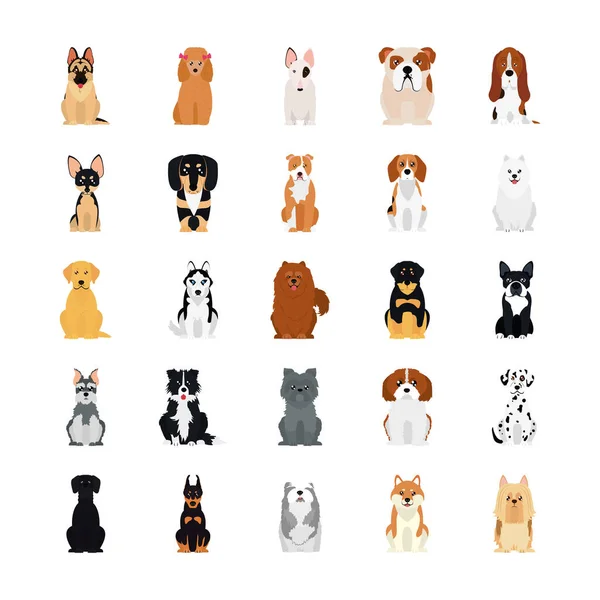 Rysunkowy złoty retriver i zestaw ikon psów, płaski styl — Wektor stockowy