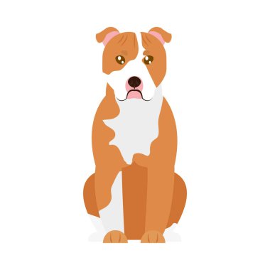 Çizgi film pitbull köpek ikonu, düz stil
