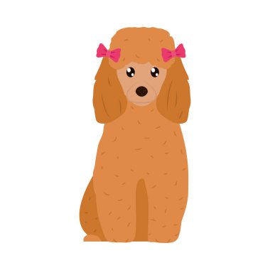 çizgi film cocker spaniel köpek simgesi, düz stil