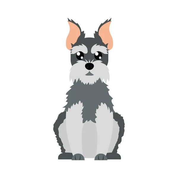 Cartoon schnauzer hond pictogram, platte stijl — Stockvector