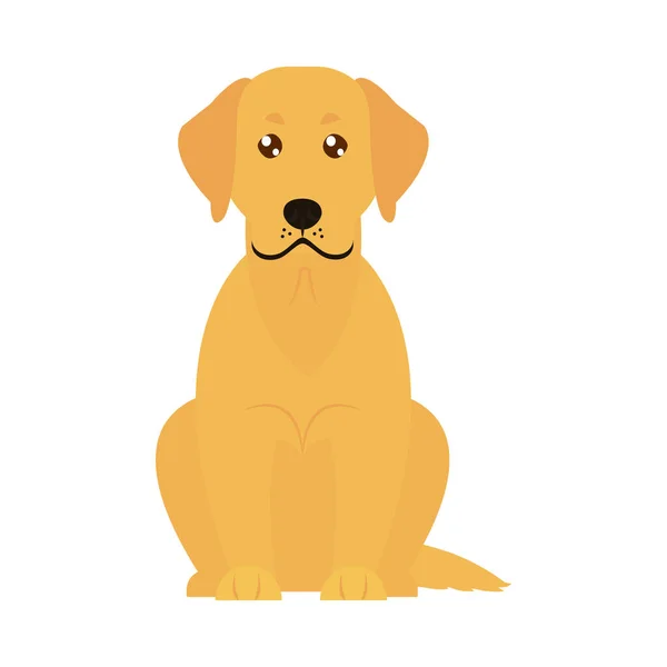 Icône de chien golden retriver, style plat — Image vectorielle