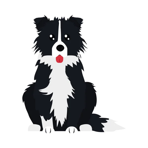 Border collie hond icoon, platte stijl — Stockvector