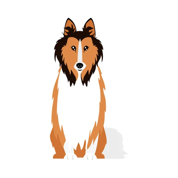 Icône de chien collie, style plat — Image vectorielle