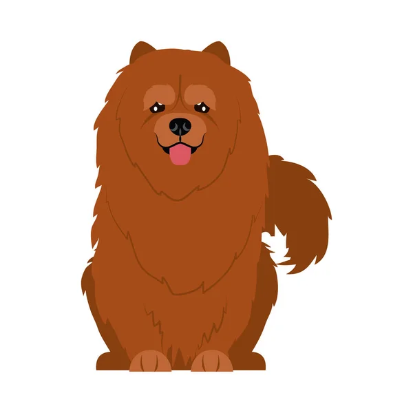 Kreslený chow chow dog ikona, plochý styl — Stockový vektor