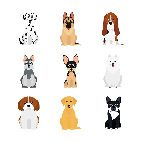 Cartoon dalmatian dog and dogs icon set, flat style — Stock Vector