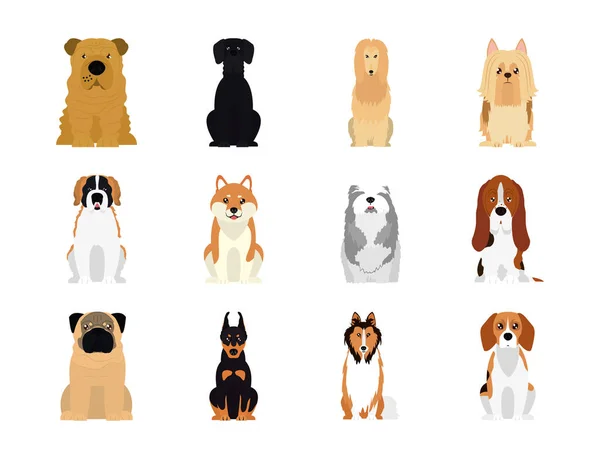 Conjunto de ícones de beagle e cães, estilo plano — Vetor de Stock