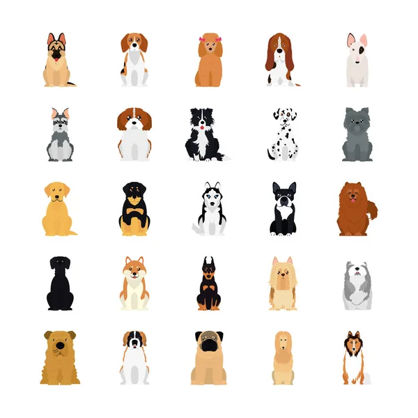 Icono conjunto de dálmata y perros, estilo plano — Vector de stock