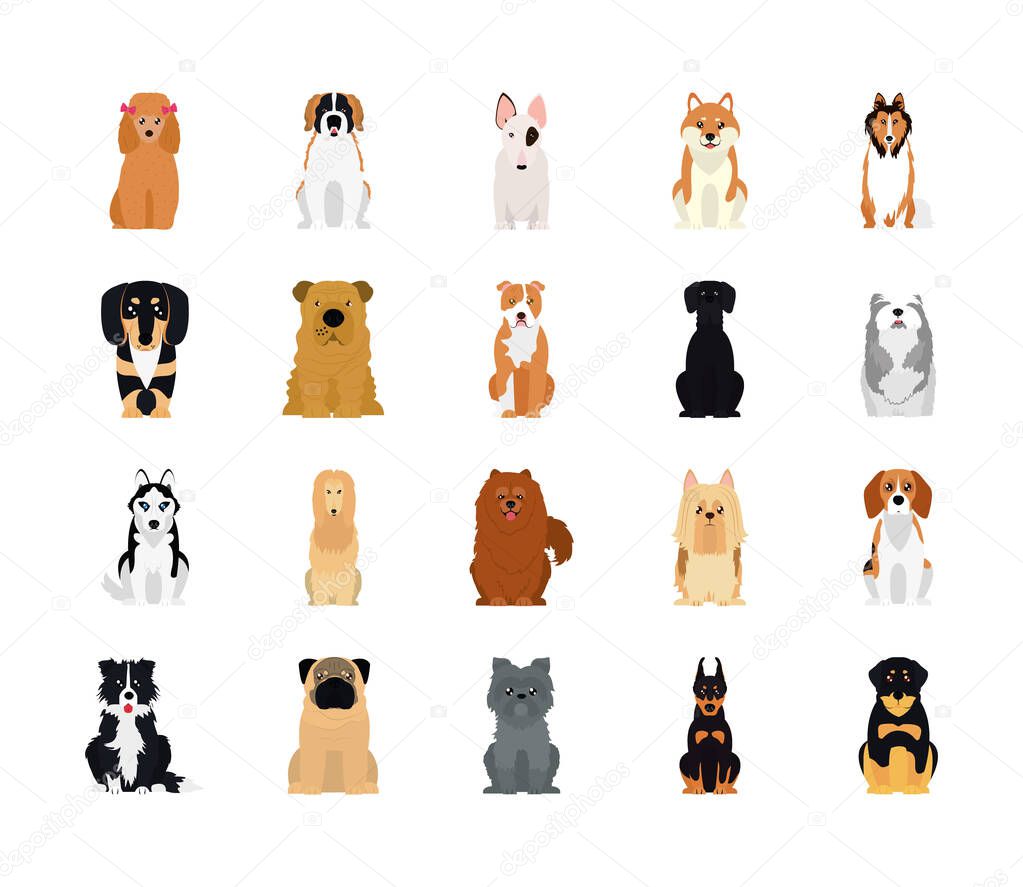 cartoon cocker spaniel and dogs icon set, flat style