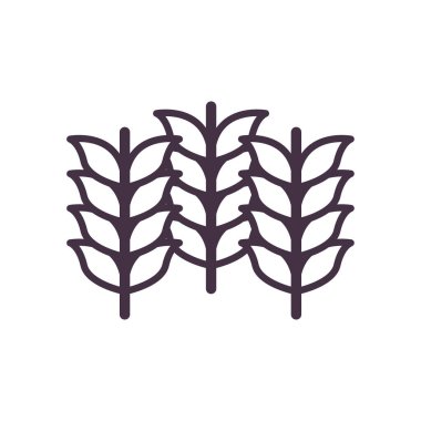 Buğday kulakları çizgi biçim vektör tasarımı