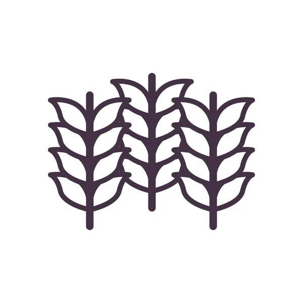 Wheat ears linha estilo ícone vetor design —  Vetores de Stock