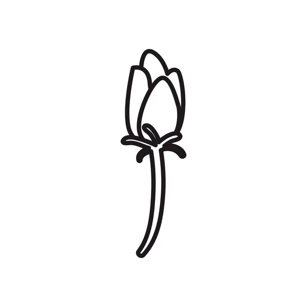 Linea di fiori stile icona vettoriale design — Vettoriale Stock