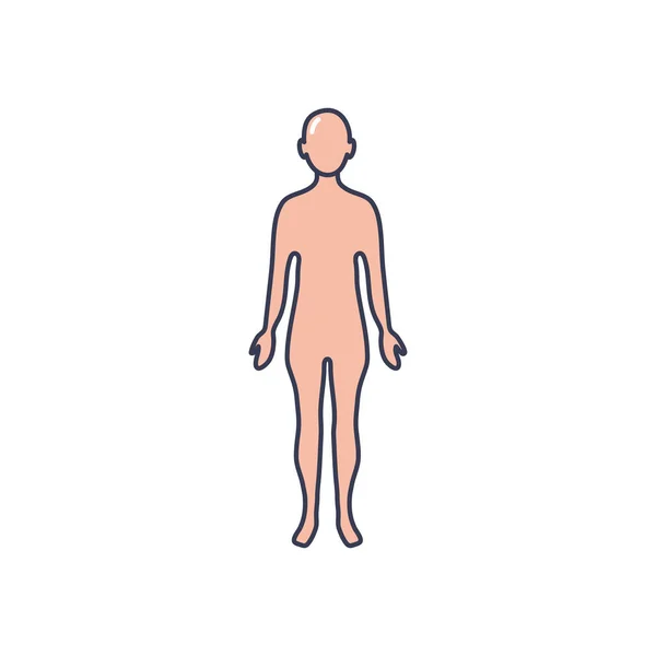 Emberi test ikon, vonal kitöltése stílus — Stock Vector
