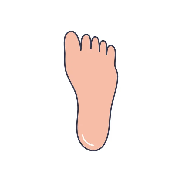 Concepto del cuerpo humano, icono del pie, estilo de relleno de línea — Archivo Imágenes Vectoriales
