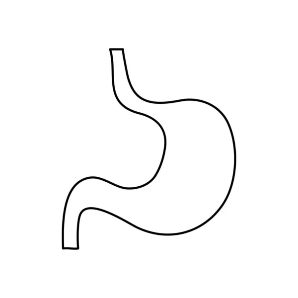 Människokropp koncept, magen ikon, linje stil — Stock vektor