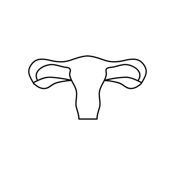 Koncepcja ludzkiego ciała, ikona kobiecego narządu rozrodczego, styl linii — Wektor stockowy
