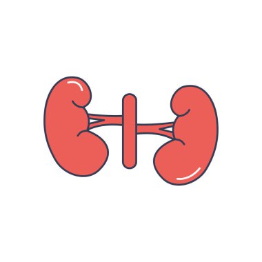 İnsan vücudu konsepti, böbrek ikonu, çizgi doldurma biçimi
