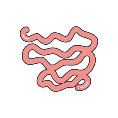 İnsan vücudu konsepti, kalın bağırsak ikonu, çizgi doldurma biçimi