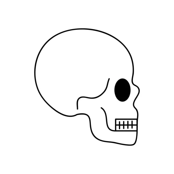 Concepto del cuerpo humano, icono del cráneo de la cabeza, estilo de línea — Archivo Imágenes Vectoriales