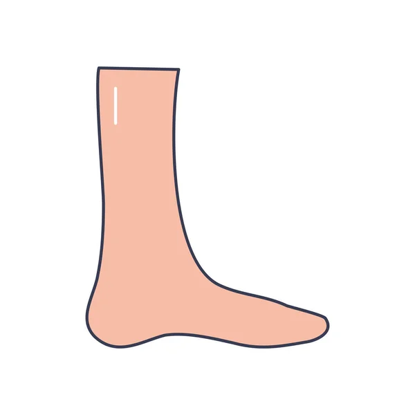 Concepto del cuerpo humano, icono del pie, estilo de relleno de línea — Vector de stock
