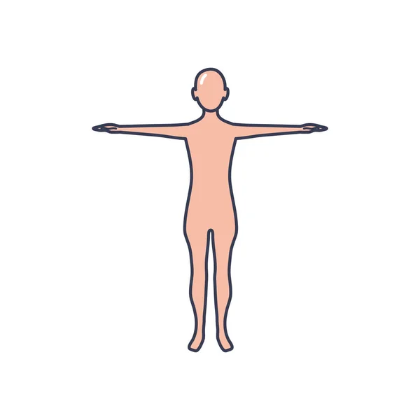 Human body standing icon, line fill style — Stock Vector