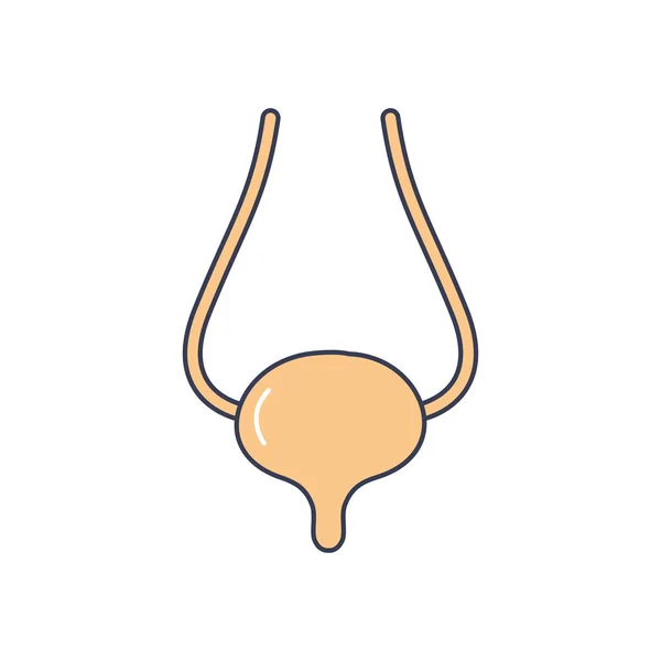 Menselijk lichaam concept, blaas icoon, lijn vullen stijl — Stockvector
