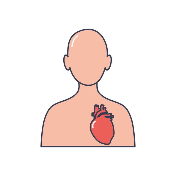 Concepto del cuerpo humano, persona avatar con icono de órgano del corazón, estilo de relleno de línea — Vector de stock