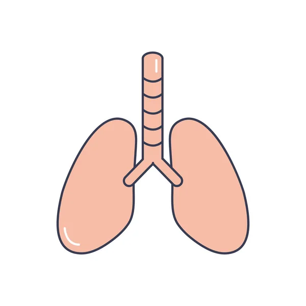 Concepto de cuerpo humano, icono de órgano pulmonar, estilo de relleno de línea — Vector de stock