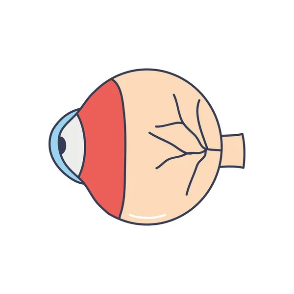 Concepto del cuerpo humano, icono del órgano ocular, estilo de relleno de línea — Vector de stock