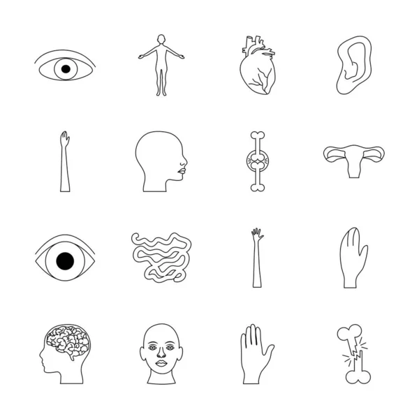 Manos y cuerpo humano icono conjunto, estilo de línea — Vector de stock