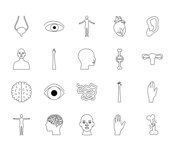 Ojo y cuerpo humano icono conjunto, estilo de línea — Vector de stock