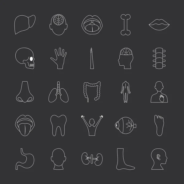 Nariz y partes del cuerpo humano icono conjunto, estilo de línea — Vector de stock