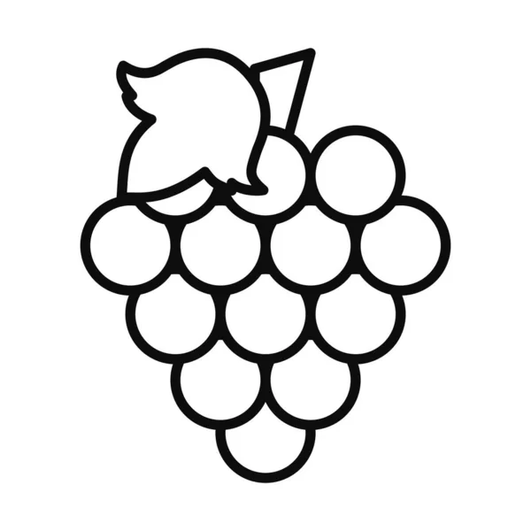 Racimo de uvas icono, estilo de línea — Vector de stock