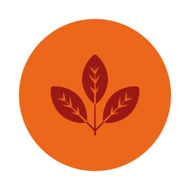 Beyaz arkaplan üzerindeki yapraklar, blok biçimi