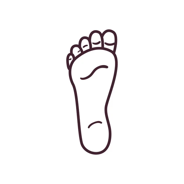 Foot line style icon vektordesign — Stockvektor