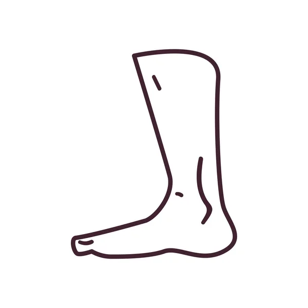 Desain vektor ikon gaya garis kaki - Stok Vektor