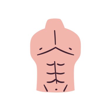 erkek karın kasları serbest biçim ikon vektör tasarımı