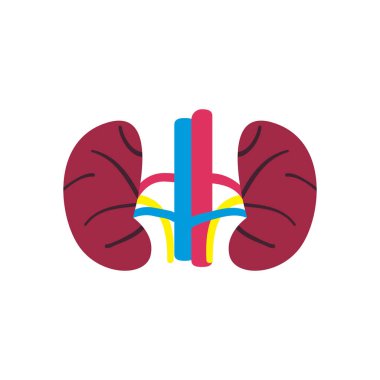 böbrekler serbest biçim ikon vektör tasarımı