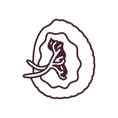 Dalak çizgisi biçim vektör tasarımı