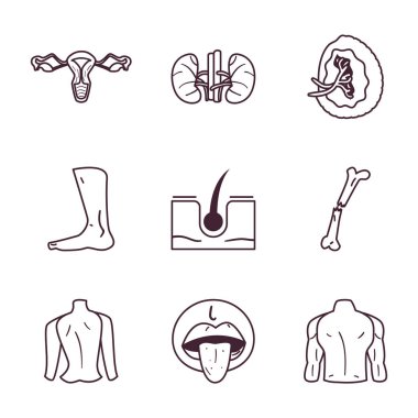 İnsan gövdesi çizgisi biçim koleksiyonu vektör tasarımı