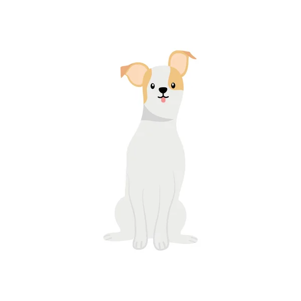 Jack Russell pes ikona, plochý styl — Stockový vektor