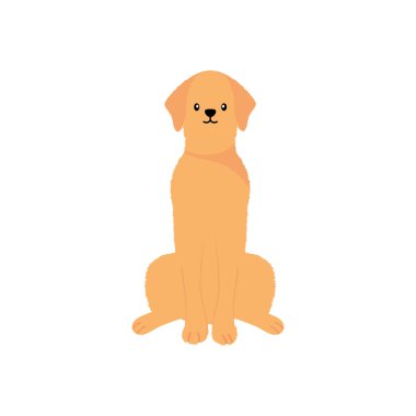 karikatür golden retriver köpek simgesi, düz stil