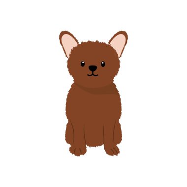 Yorkshire Teriyer köpek simgesi, düz stil