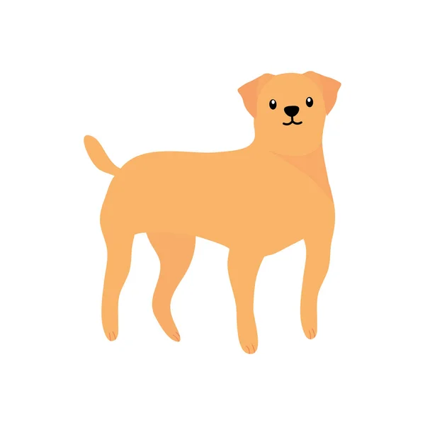 Perro golden retriever, estilo plano — Vector de stock