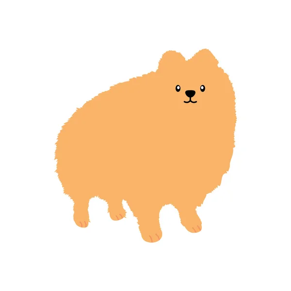 Icono del perro de dibujos animados pomeranian, estilo plano — Vector de stock