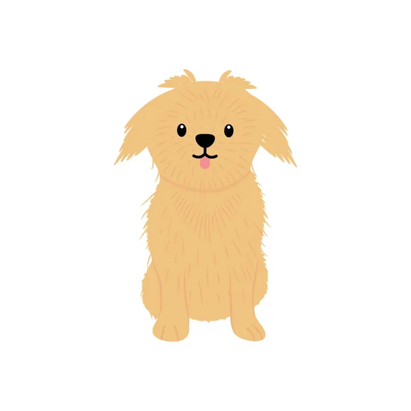 İpeksi teriyer köpek ikonu, düz stil. — Stok Vektör
