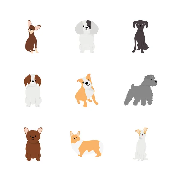 Conjunto de iconos de dibujos animados pinscher y perros, estilo plano — Vector de stock