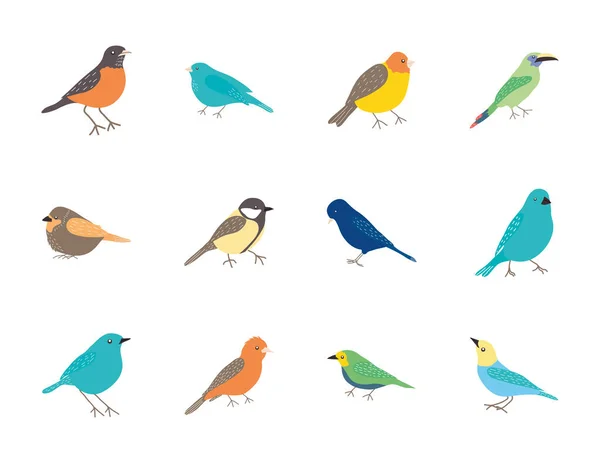 Jeu d'icônes oiseaux dessin animé, style plat — Image vectorielle