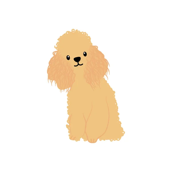 Pequeño spitz perro icono, estilo plano — Vector de stock