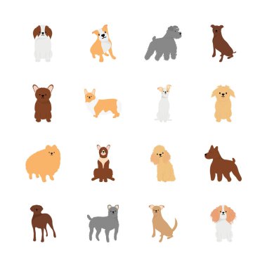 Pomeranian köpek ve köpek simgesi seti, düz stil