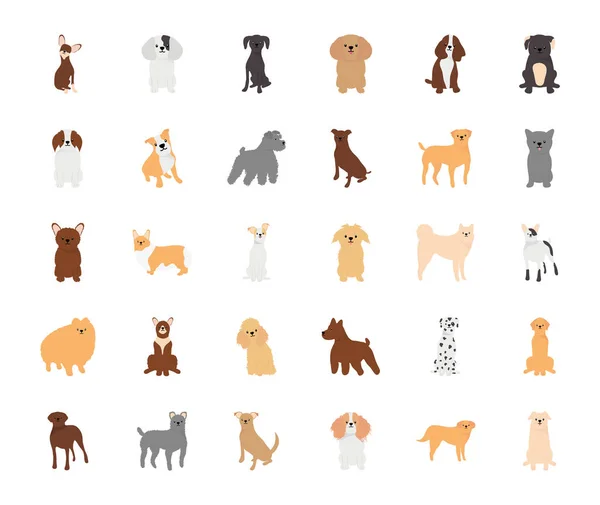 Милий набір значків собак, плоский стиль — стоковий вектор